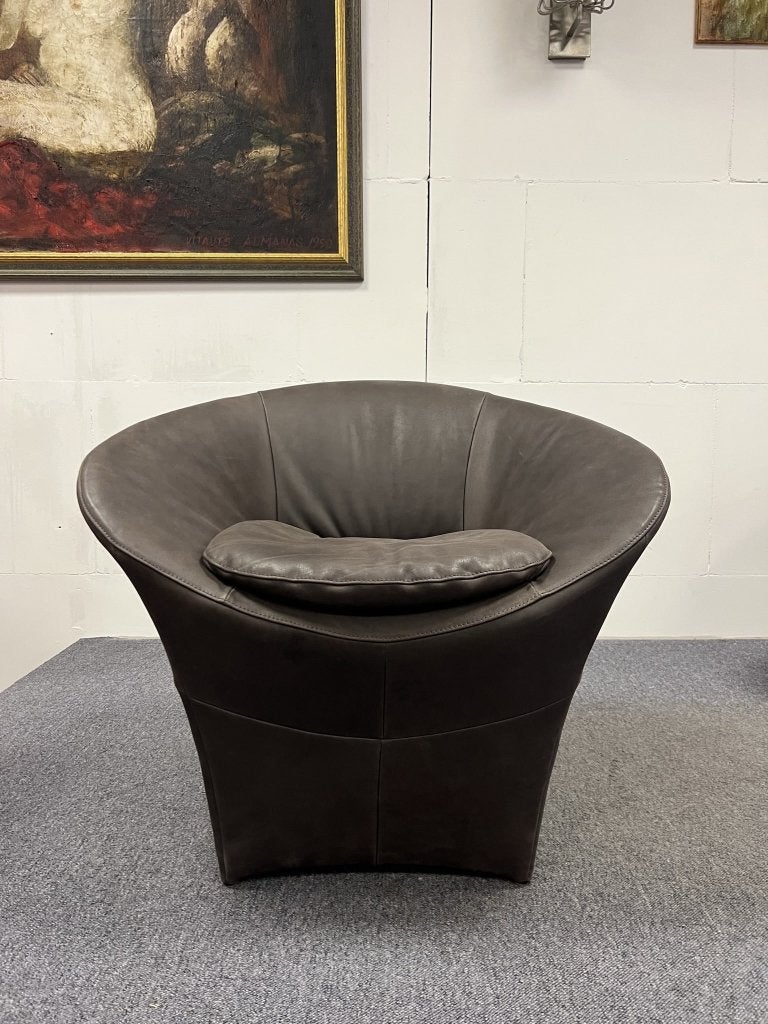 Nieuw Label van den Berg Ace Fauteuil bruin leer Stoel, Minder dan 75 cm, Nieuw, Leer, Ophalen of Verzenden