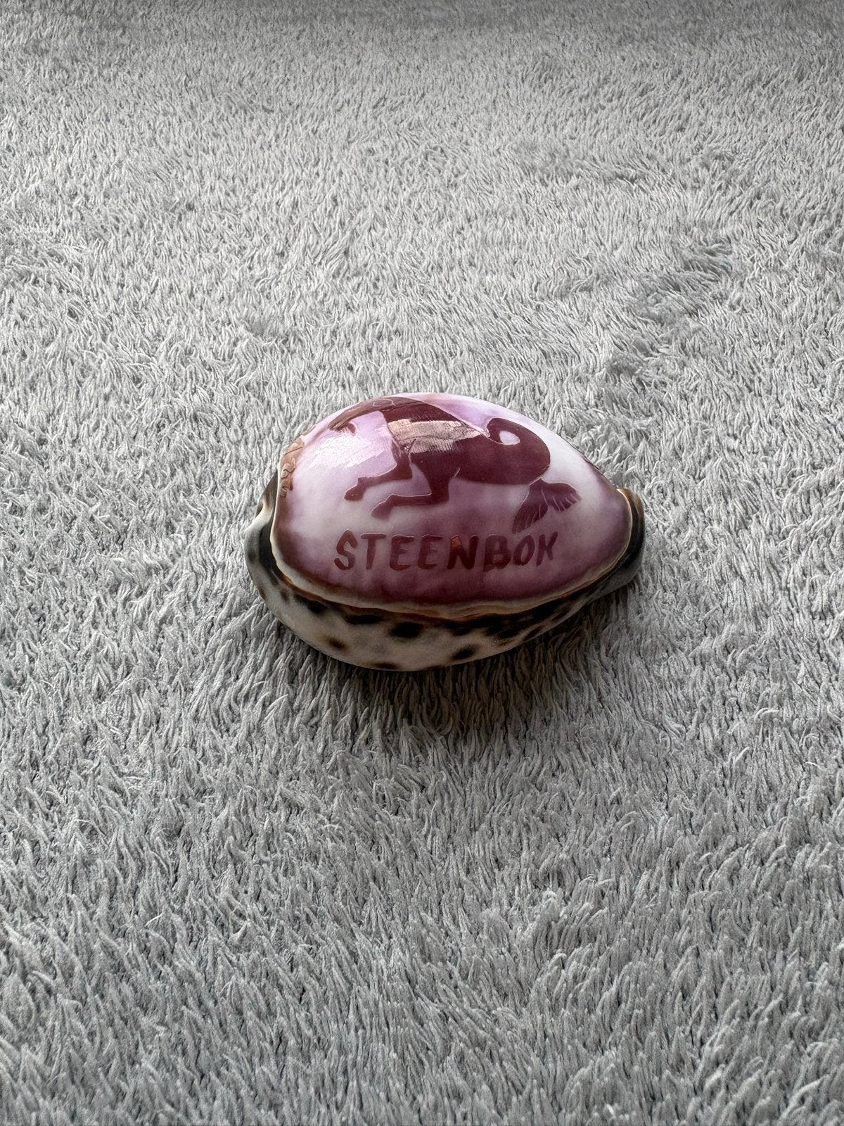Vintage Steenbok Schelp - Uniek Decoratief Item, Vintage, Overige materialen, Ophalen of Verzenden, Zo goed als nieuw