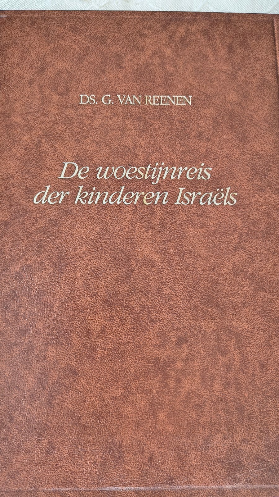 De woestijnreis der kinderen Israëls. Ds G van Reenen, Boeken, Christendom | Protestants, Ophalen of Verzenden, Zo goed als nieuw