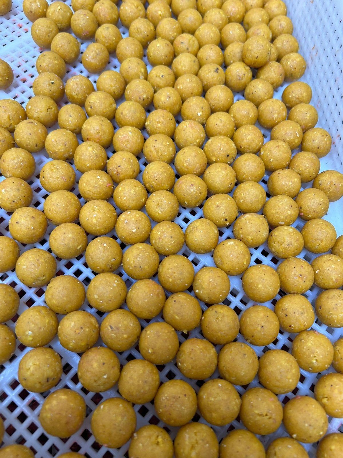 Mighty mango boilie 🥭, Ophalen of Verzenden, Zo goed als nieuw, Overige typen