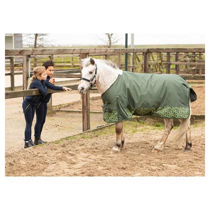 Harry’s horse outdoordeken maat 135 stout lime  200 gram, Dieren en Toebehoren, Paarden en Pony's | Dekens en Dekjes, Ophalen of Verzenden