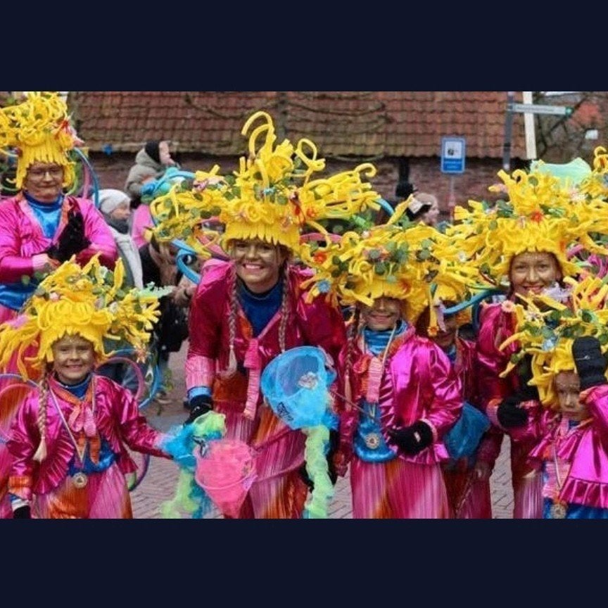 Loopgroep carnaval thema Fantasy/ dieren/ insecten kleurijk!, Ophalen, Gebruikt, Kostuum, Carnaval