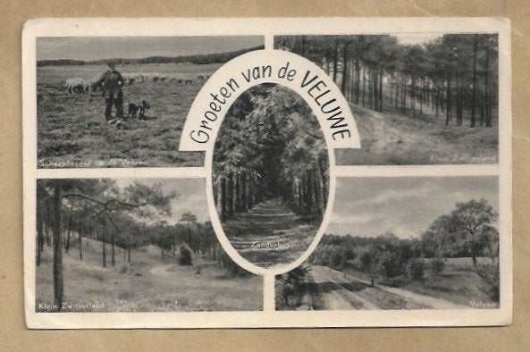 Oude ansichtkaart Groeten van de Veluwe, Ophalen of Verzenden, Voor 1920, Gelopen, Gelderland