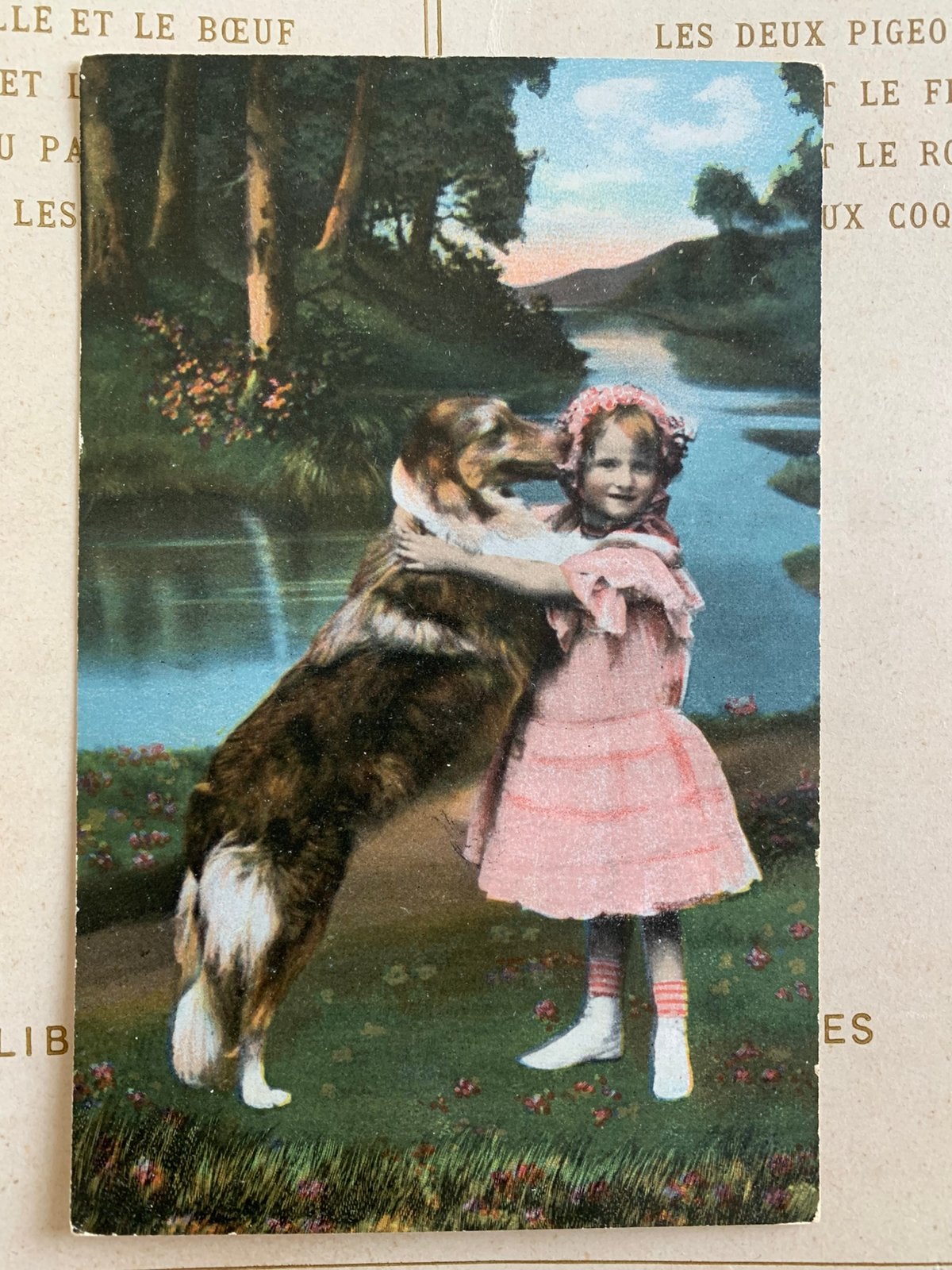 Meisje met hond - Schotse langharige collie (SL), Ophalen of Verzenden, Voor 1920, Ongelopen, Hond of Kat