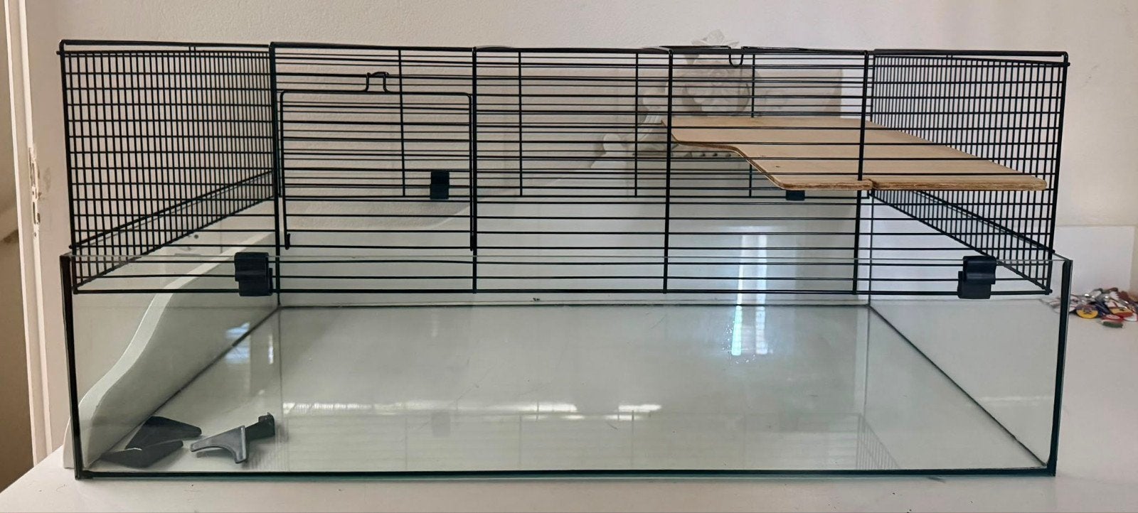Hamster kooi met glasbak + benodigheden., Dieren en Toebehoren, Knaagdieren en Konijnen | Hokken en Kooien, Kooi, Zo goed als nieuw