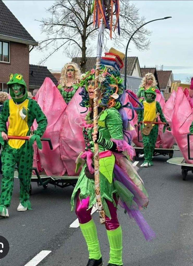 Carnavalsgroep: Kikkers, Elfjes & Bewegende Bloemen, Ophalen of Verzenden, Gebruikt, Toneelattributen of Onderdelen