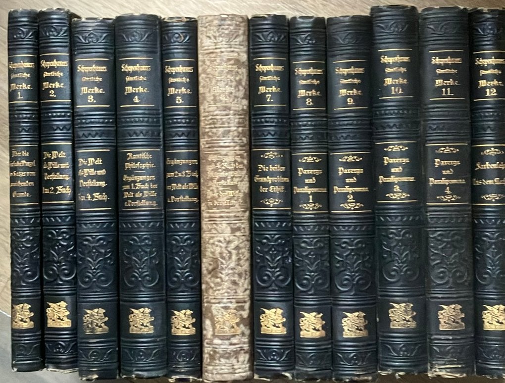 Arthur Schopenhauer (Rudolf Steiner inl.) - Sämtlich werke, Boeken, Ophalen of Verzenden, Gelezen, Arthur Schopenhauer