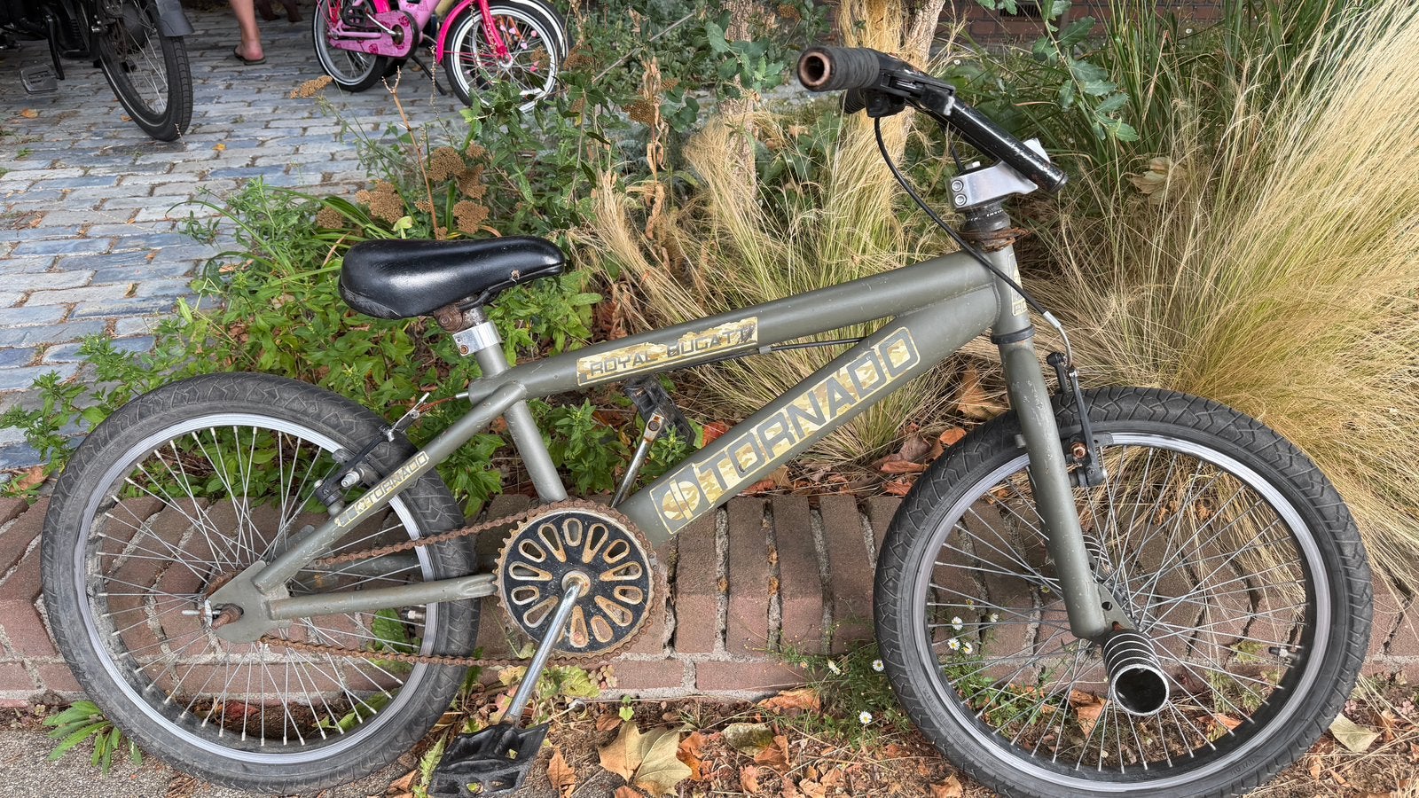 BMX fiets 20 inch, Fietsen en Brommers, Fietsen | Crossfietsen en BMX, Ophalen, Gebruikt, Staal, Velgrem
