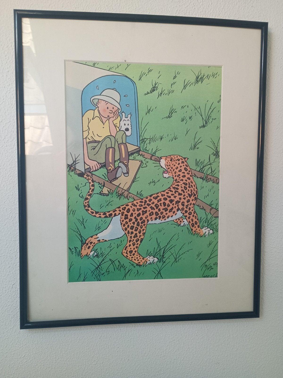 Kuifje en de luipaard ( unieke prent Kuifje in Afrika), Verzamelen, Stripfiguren, Ophalen of Verzenden, Kuifje, Plaatje, Poster of Sticker