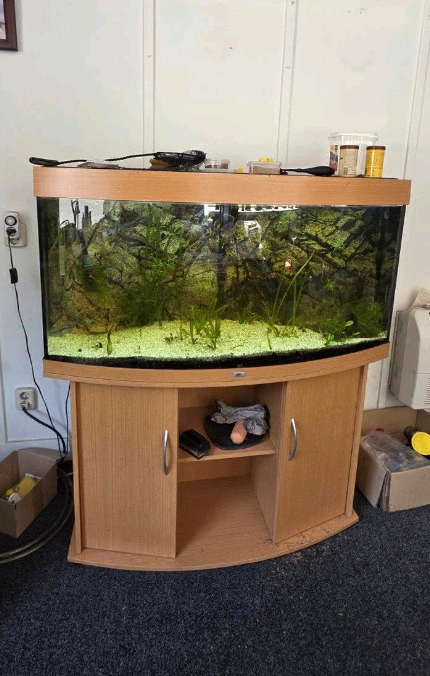 Aquarium 260L + bezorging Eindhoven regio = 60 EUR, Dieren en Toebehoren, Vissen | Aquaria en Toebehoren, Ophalen, Gebruikt, Leeg aquarium