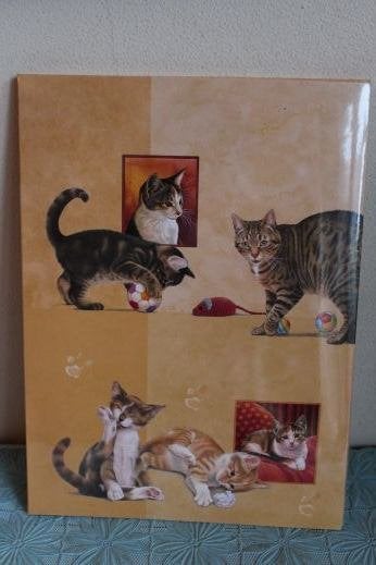 Postpapier Francien - katten, Ophalen of Verzenden, Nieuw