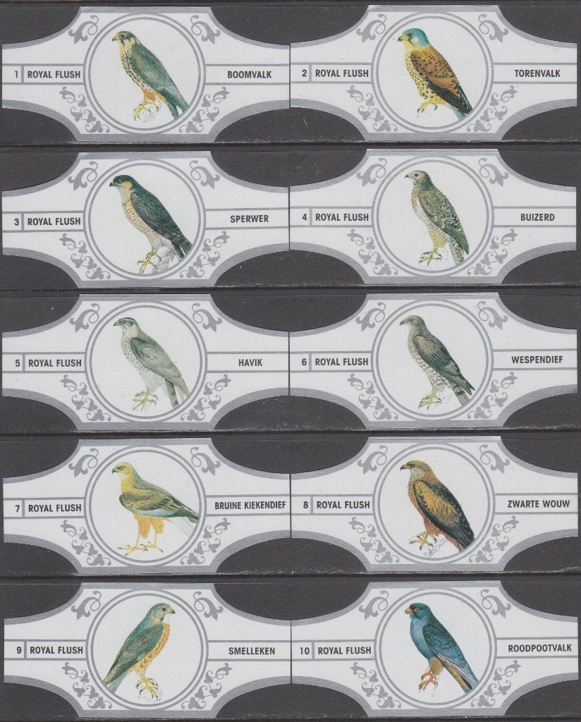 Sigarenbanden met Roofvogels, Royal Flush 1-10 wit-zilver, Verzenden, Nieuw, Sigarenbandjes