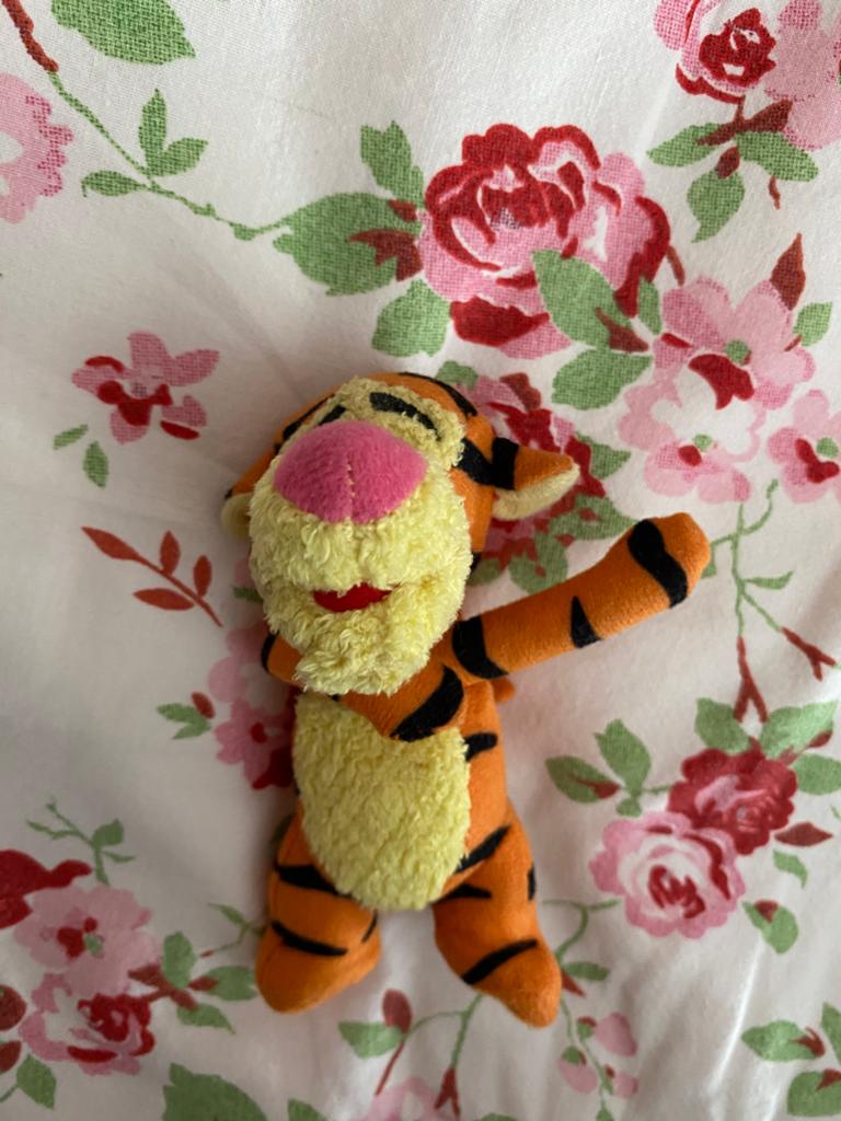 Winnie The Poeh (Tijgertje) Disney, Kinderen en Baby's, Speelgoed | Knuffels en Pluche, Ophalen of Verzenden, Overige typen