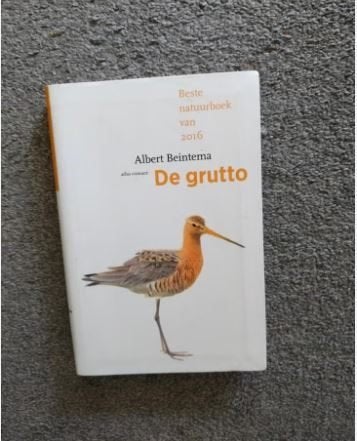 De Grutto - Albert Beintema, Ophalen of Verzenden, Zo goed als nieuw, Vogels, Albert Beintema