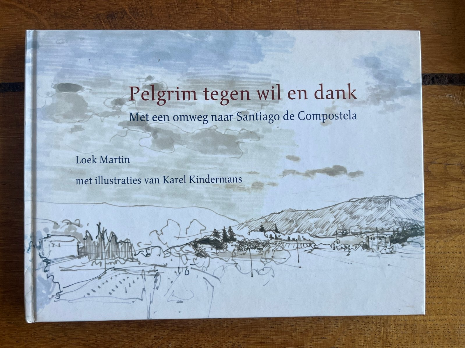 Loek Martin - Pelgrim tegen wil en dank: omweg naar Santiago, Boeken, Reisverhalen, Ophalen of Verzenden, Zo goed als nieuw, Europa