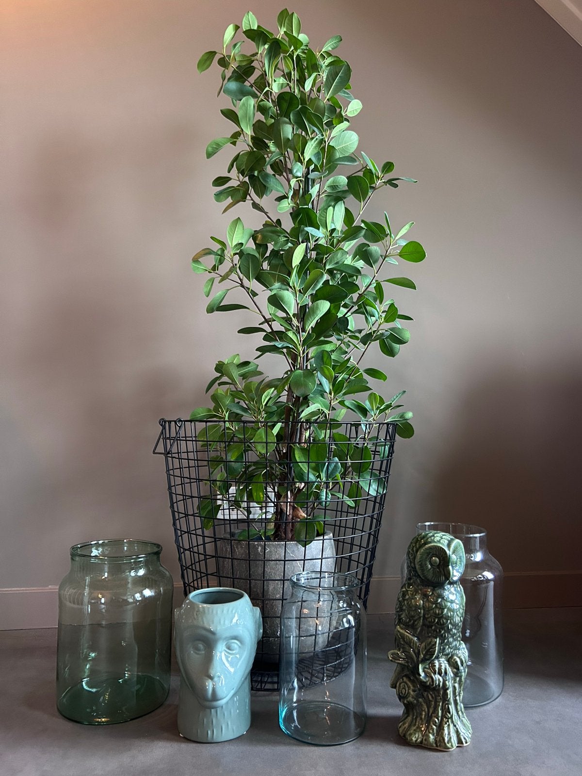 Diverse decoratie: plant, vazen, potten en mand, Ophalen, Groen, Gebruikt, Modern