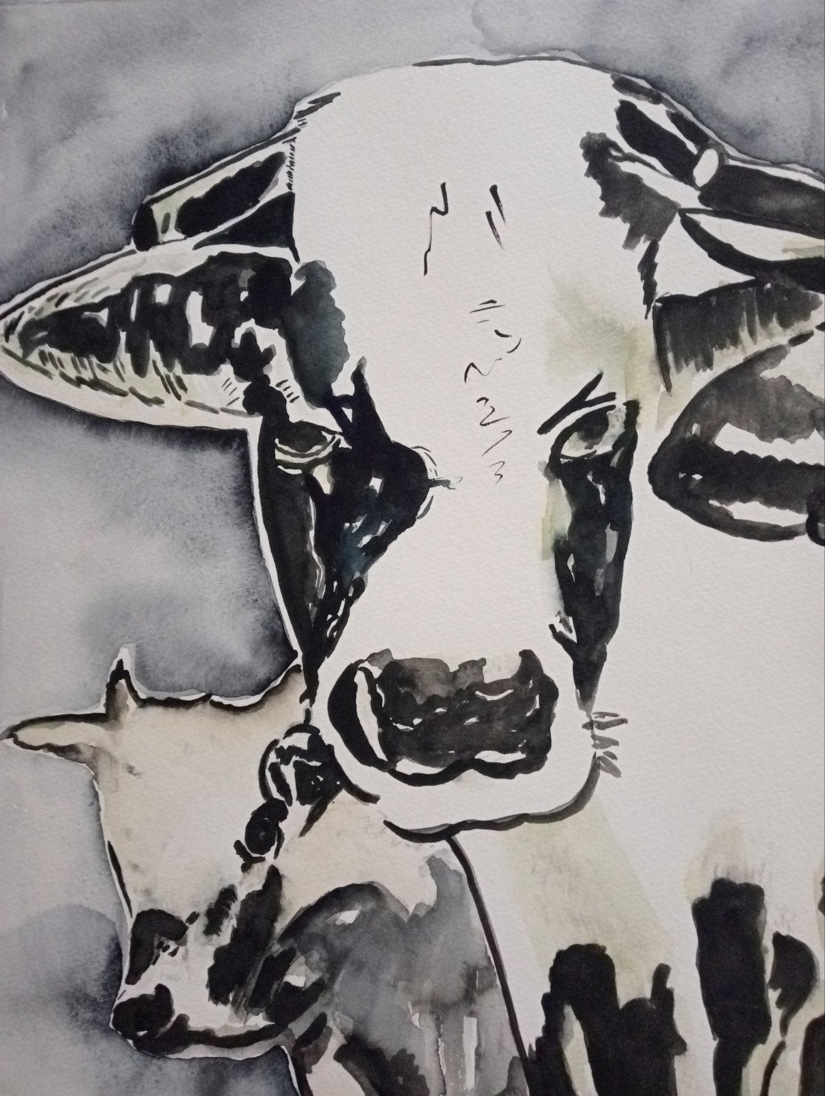 Aquarel met vee Koeien, Ophalen of Verzenden