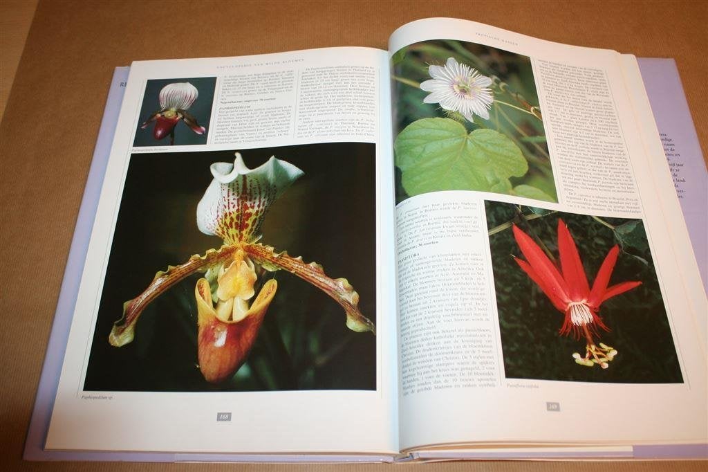 Wilde bloemen. Rebo Foto-Encyclopedie - Meer dan 300 foto\'s, Boeken, Ophalen of Verzenden, Zo goed als nieuw, Bloemen, Planten en Bomen