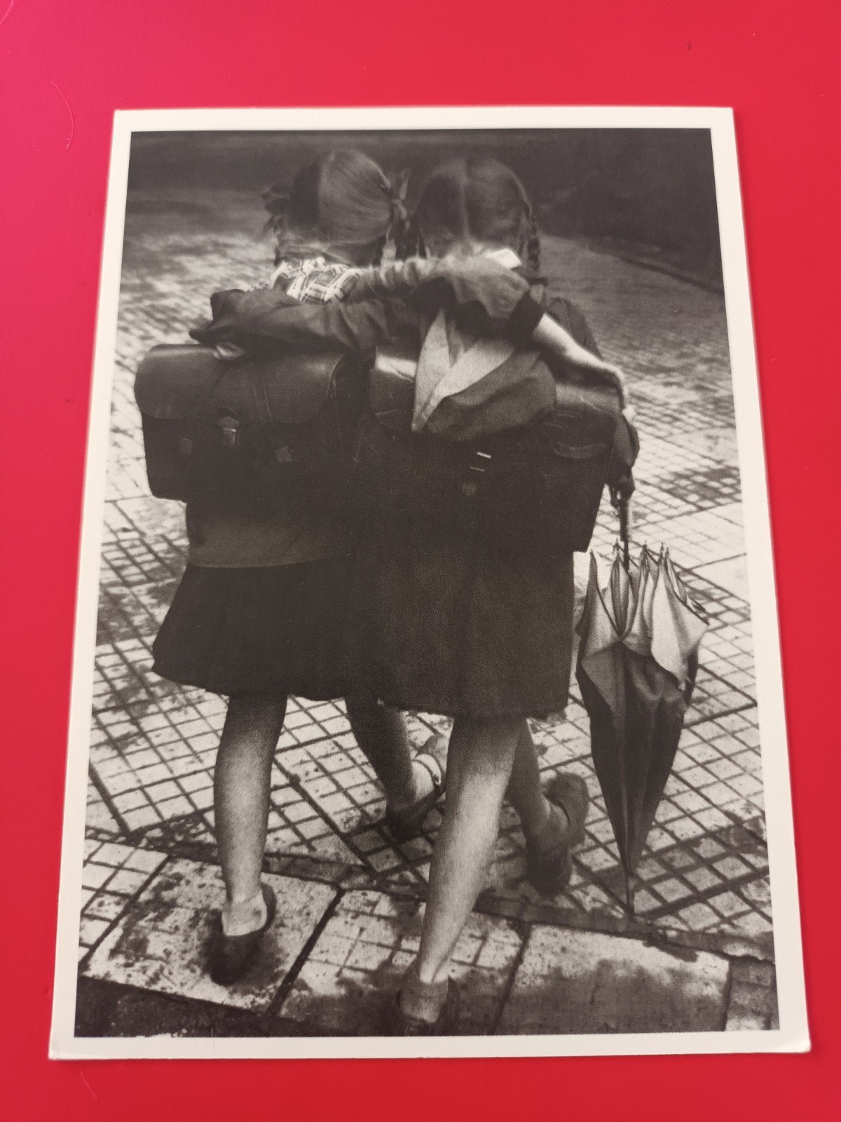 Best Friends, dr. Paul Wolff, Ophalen of Verzenden, Nieuw, Foto