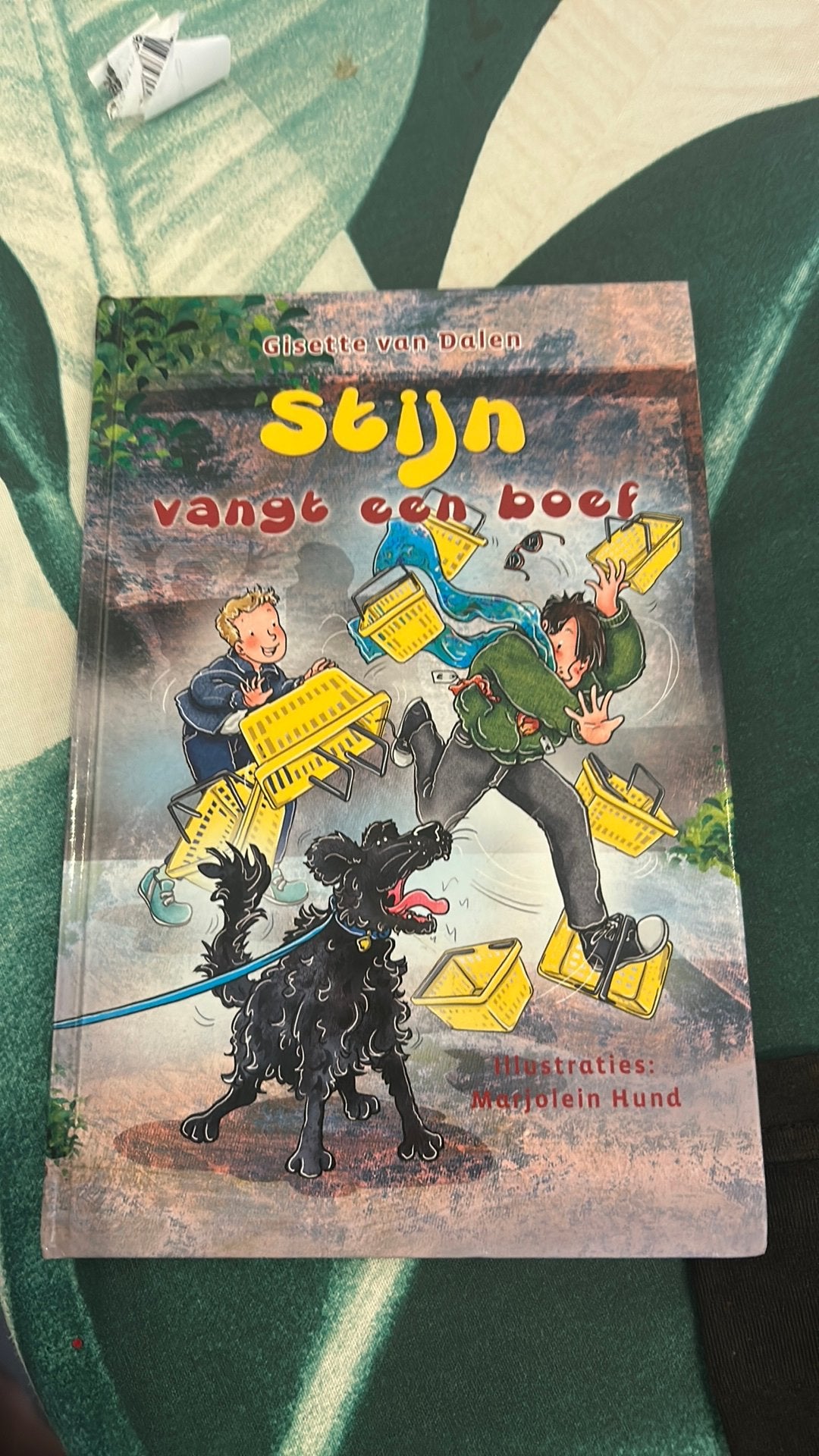 Gisette van Dalen - Stijn vangt een boef, Fictie algemeen, Ophalen of Verzenden, Zo goed als nieuw, Gisette van Dalen
