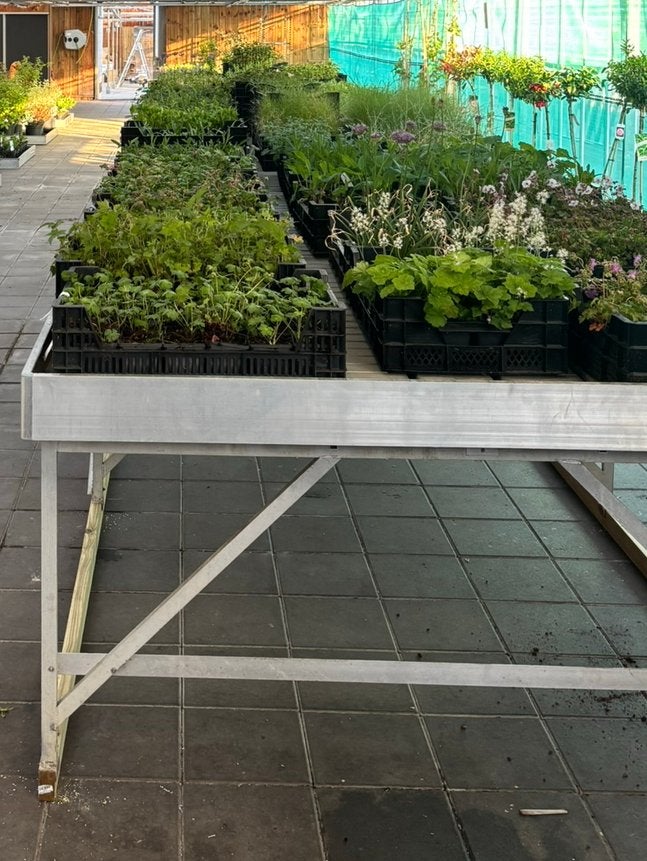 Tuinplanten Eb en Vloed Verkooptafel - Kweektafel, Tuin en Terras, Ophalen of Verzenden, Gebruikt, Kweektafel
