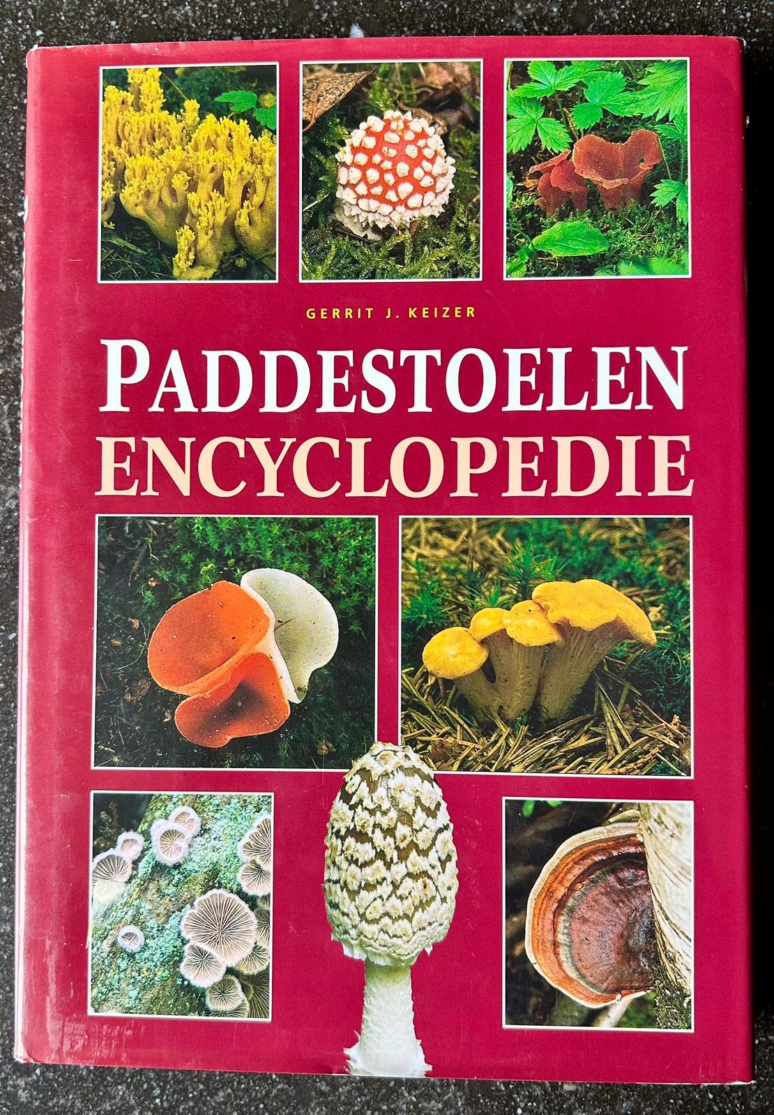 Gerrit J. Keizer - Paddestoelen Encyclopedie - paddenstoelen, Boeken, Ophalen of Verzenden, Zo goed als nieuw, Gerrit J. Keizer