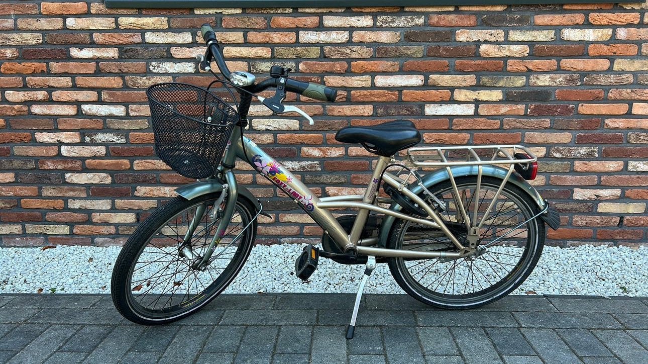 Loekie meisjesfiets, Ophalen, Terugtraprem, Gebruikt, Handrem