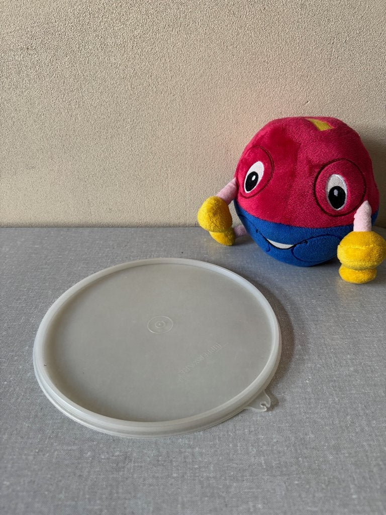 de laatste wasemmer deksels - was emmer deksel TUPPERWARE, Ophalen of Verzenden, Gebruikt, Overige typen, Met deksel