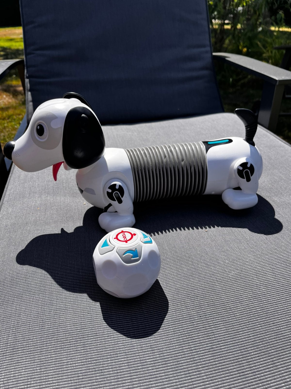 Robohond dackel met bal Silverlit, Ophalen, Zo goed als nieuw