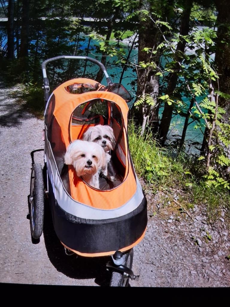 Innopet HondenBuggy wandel en fietskar zgan, Ophalen, Zo goed als nieuw