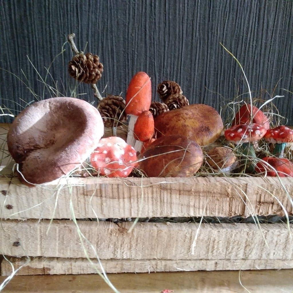 Prachtige botanische papier-mâche paddenstoelen, Verzenden
