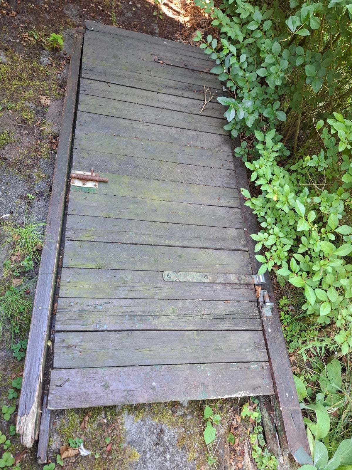 openhaard hout gratis ophalen, Ophalen, Hout, Minder dan 3 meter, 1 tot 2 meter
