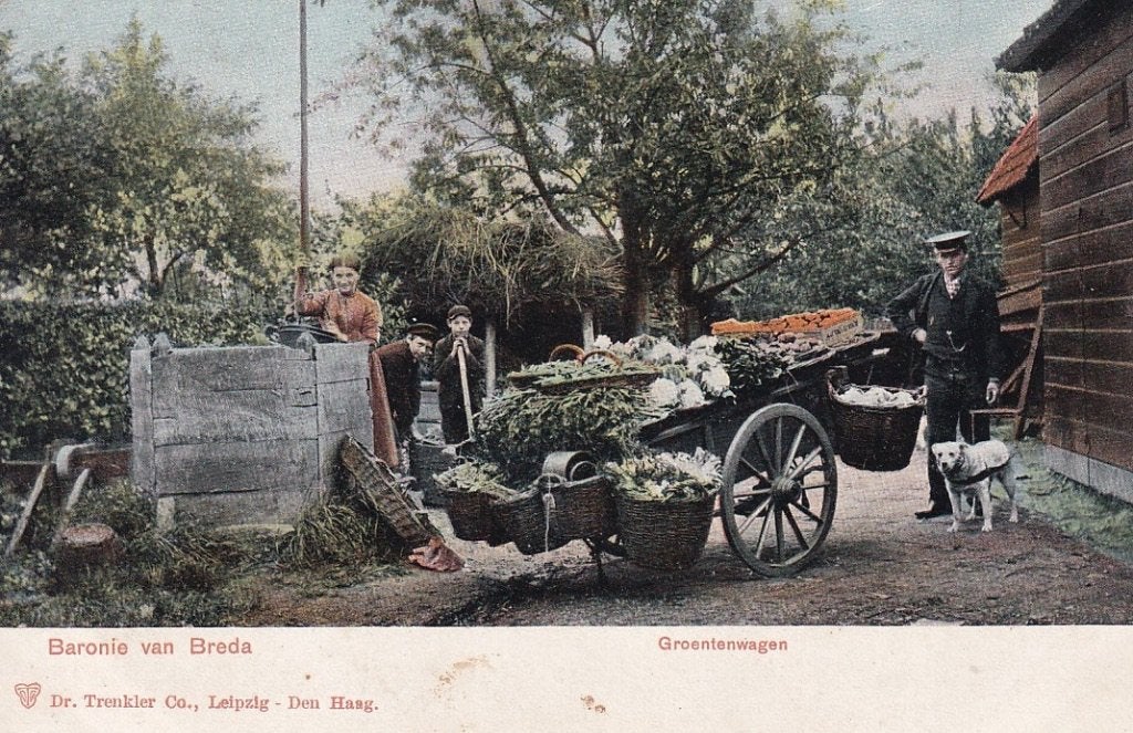 733H Baronie van Breda, groentekar met trekond, Ophalen of Verzenden, Voor 1920, Ongelopen, Noord-Brabant