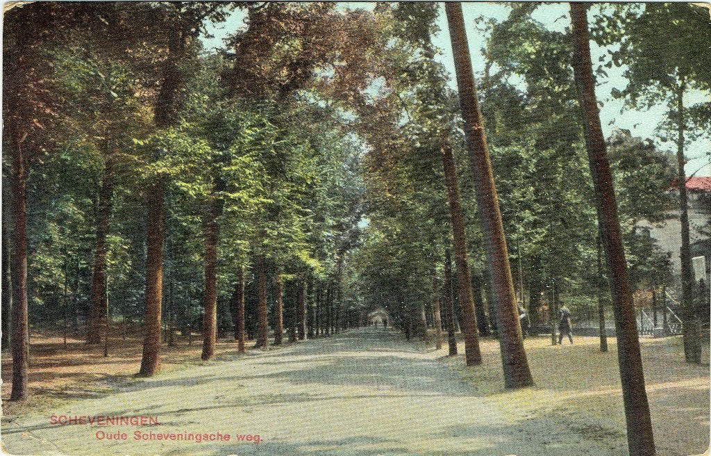 Ansichtkaart Scheveningen Den Haag Oude Scheveningscheweg, Verzenden, Voor 1920, Gelopen, Zuid-Holland