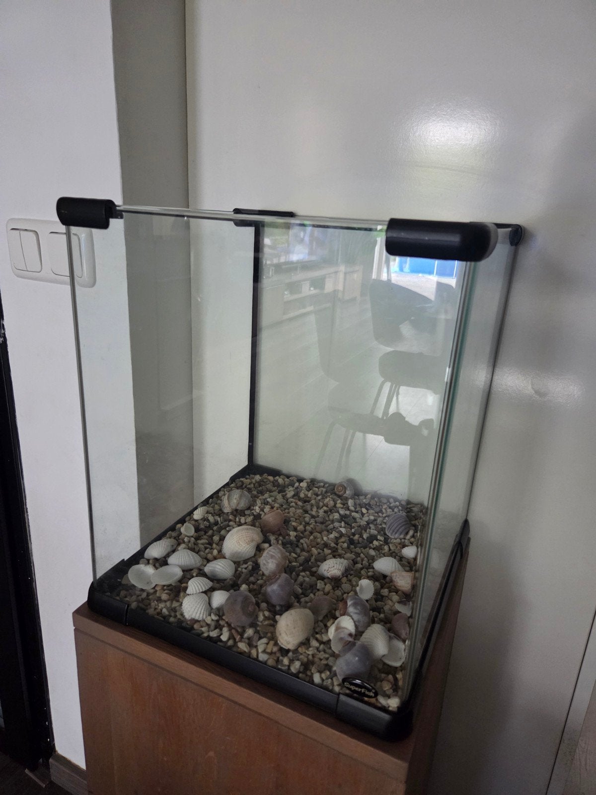vissenkom/ aquarium gratis op te halen, Ophalen