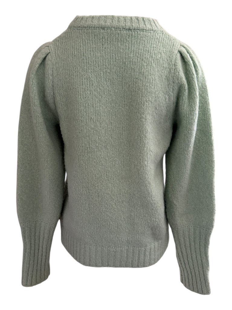 Fabienne Chapot trui M, Kleding | Dames, Ophalen of Verzenden, Zo goed als nieuw, Groen