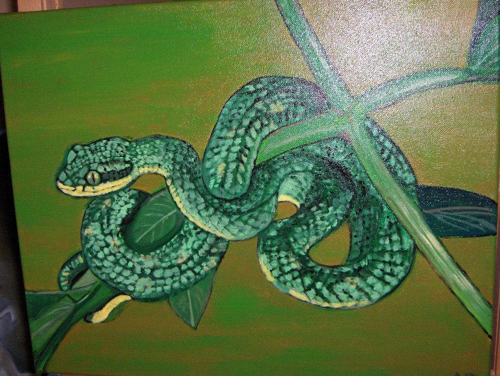 Slang, Acrylverf, Handgeschilderd, Ophalen of Verzenden, Dieren