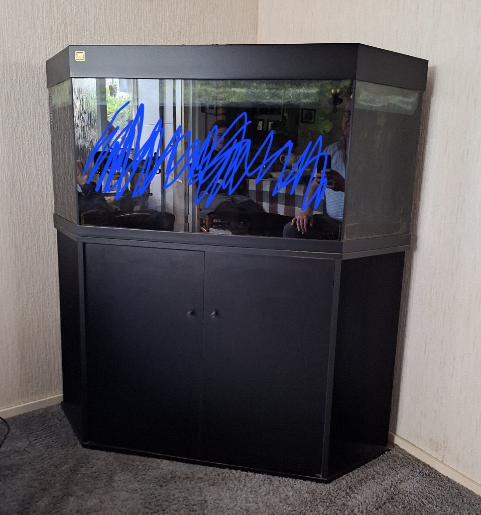 Aquarium 250 liter Hoekopstelling met zwarte onderkast, Ophalen, Gebruikt, Inclusief deksel, Leeg aquarium