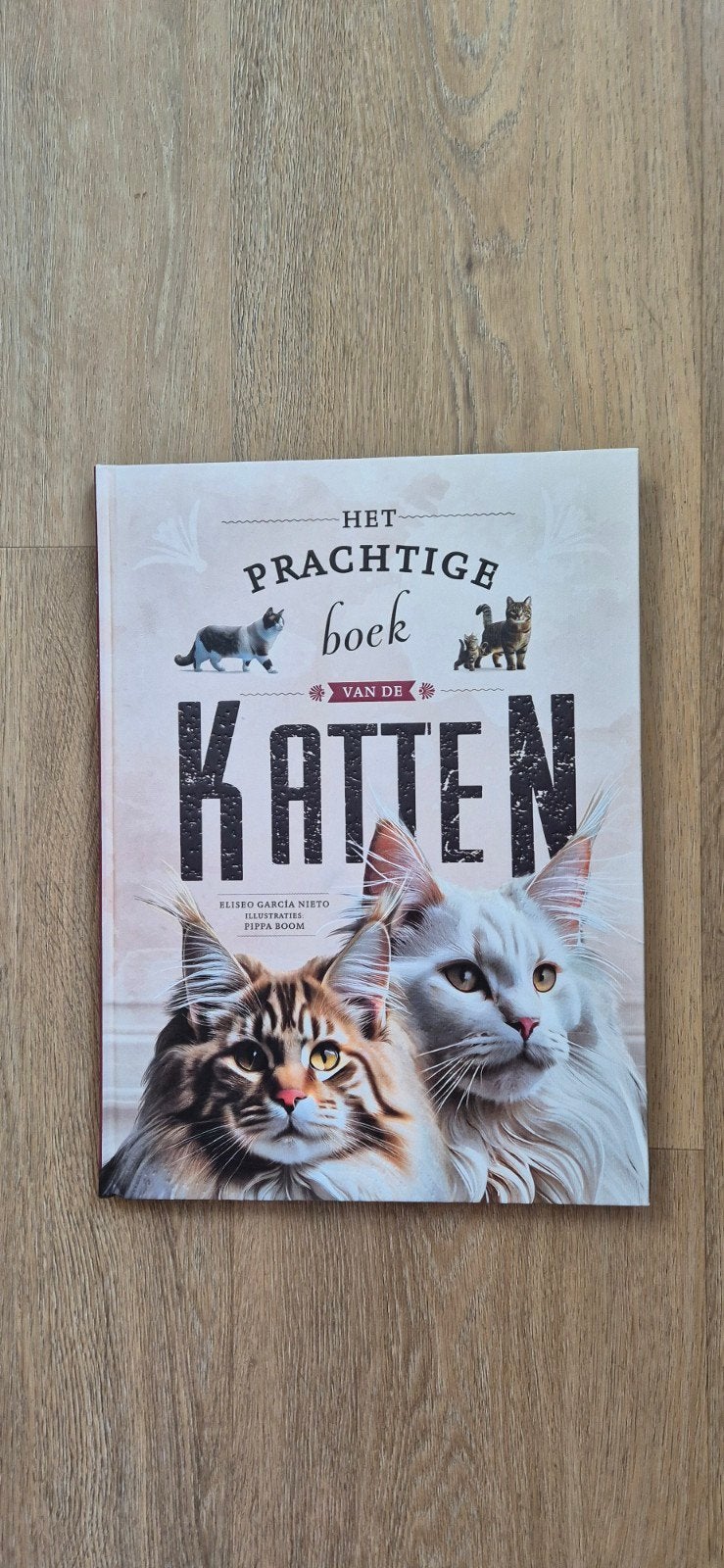 Het prachtige boek van de katten, nieuw, Boeken, Dieren en Huisdieren, Ophalen of Verzenden, Nieuw, Katten