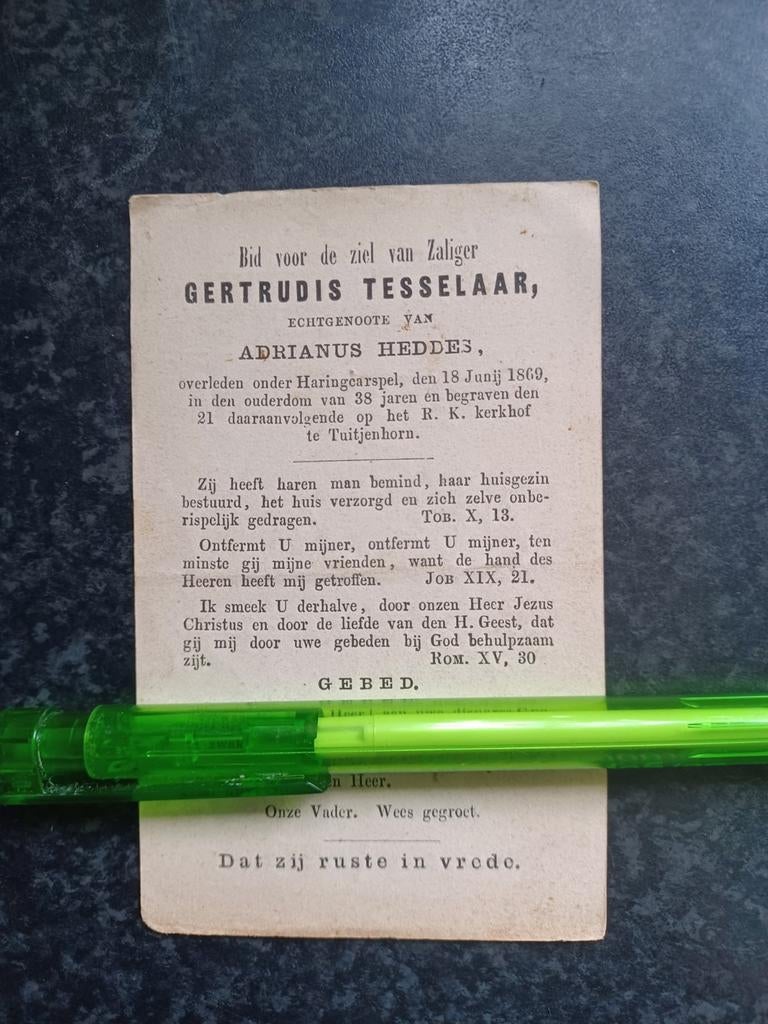 Bidprentje Haringcarspel Gertrudis Tesselaar 1831 1869, Ophalen, Bidprentje