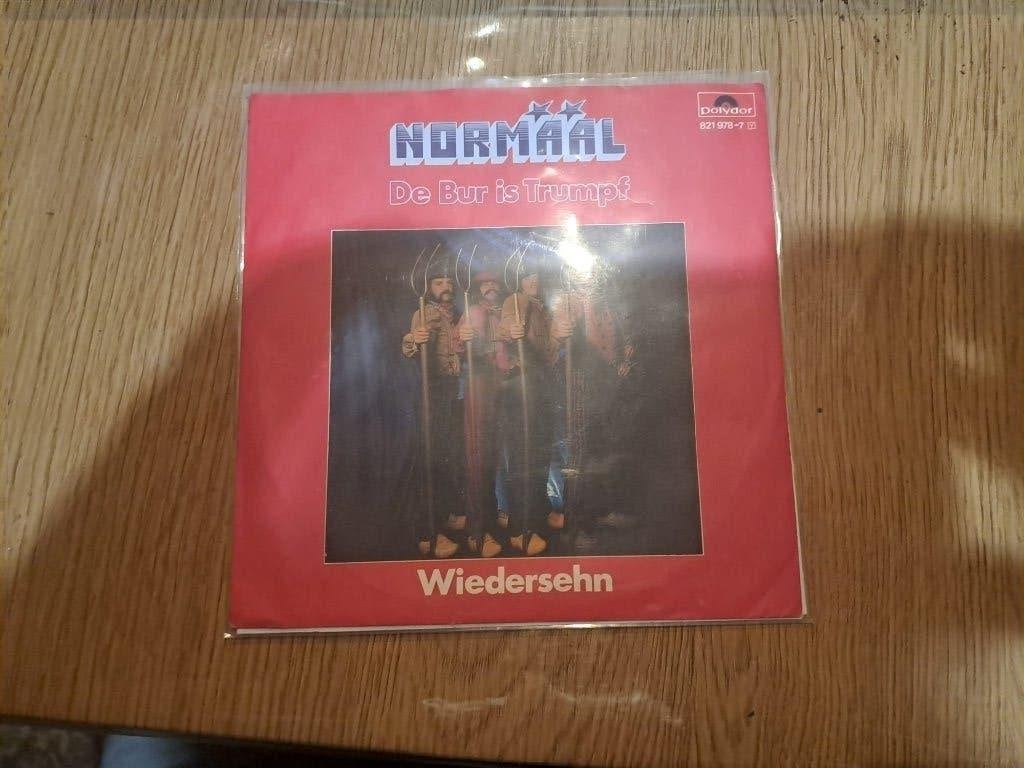 Gezocht deze platen van Normaal, Ophalen, Gebruikt, Overige formaten, Rock