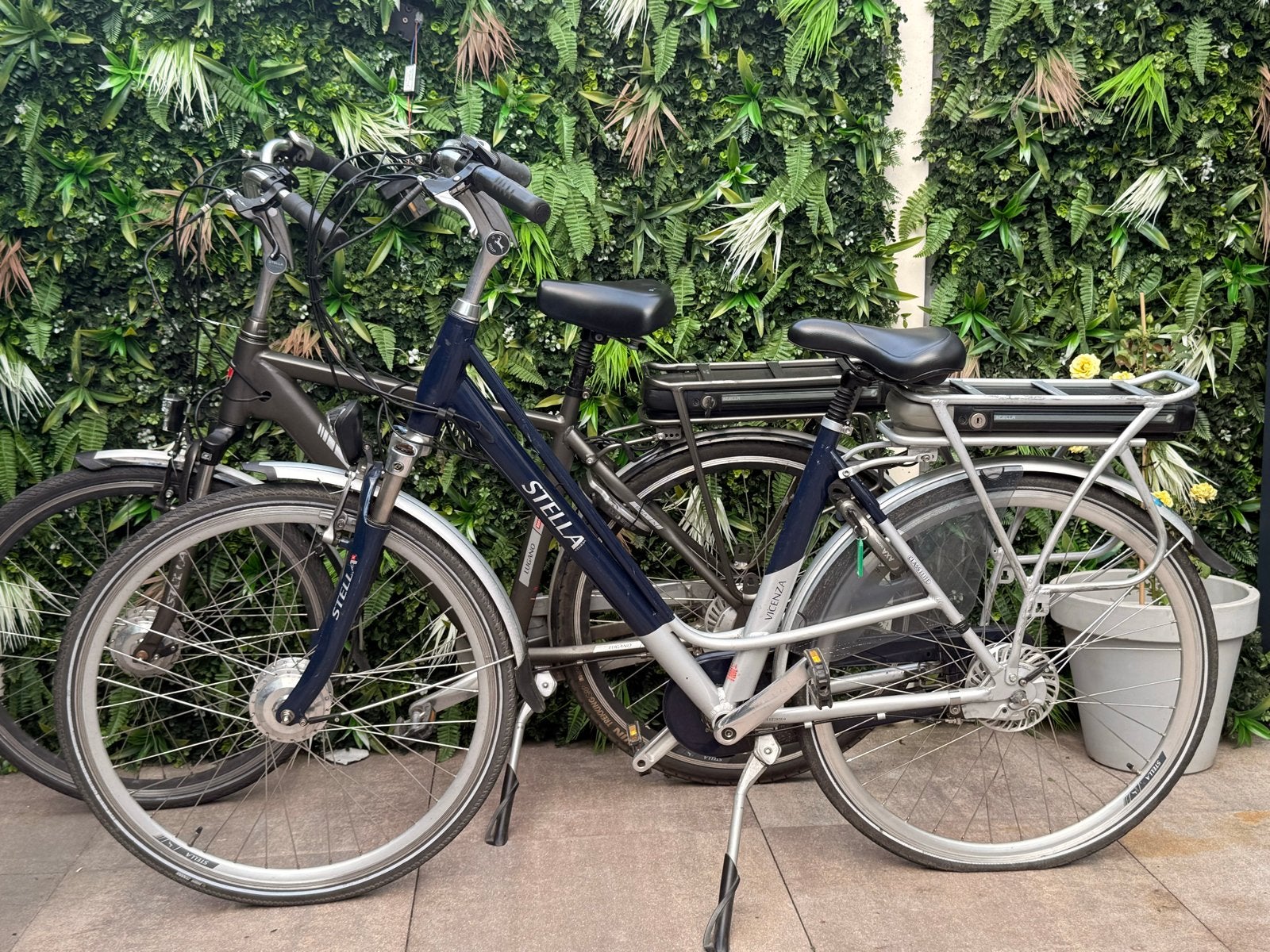 Set Stella elektrische fiets damesfiets en herenfiets, Overige merken, Ophalen of Verzenden, S, S