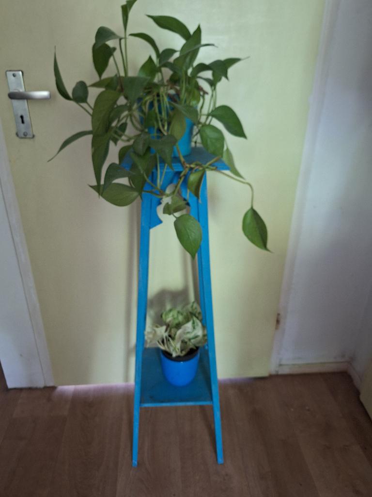 Brocante plantetafeltje, Ophalen