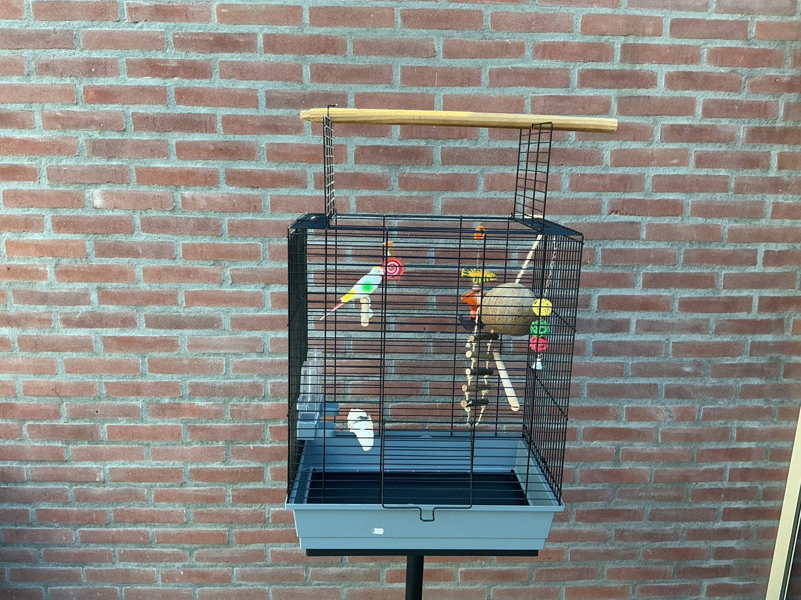 Mooie  vogelkooi vaste prijs €50, Dieren en Toebehoren, Vogels | Hokken en Kooien, Ophalen, Zo goed als nieuw, Metaal, Vogelkooi
