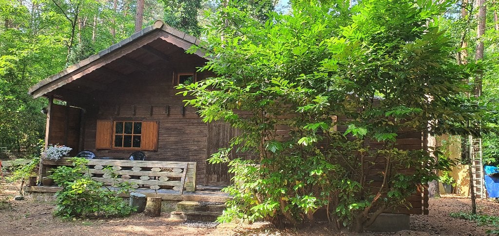 last minute aug. 4p  incl sauna: Belgische Kempen, Vakantie, Vakantiehuizen | België, 4 of meer slaapkamers, In bos, Antwerpen of Vlaanderen
