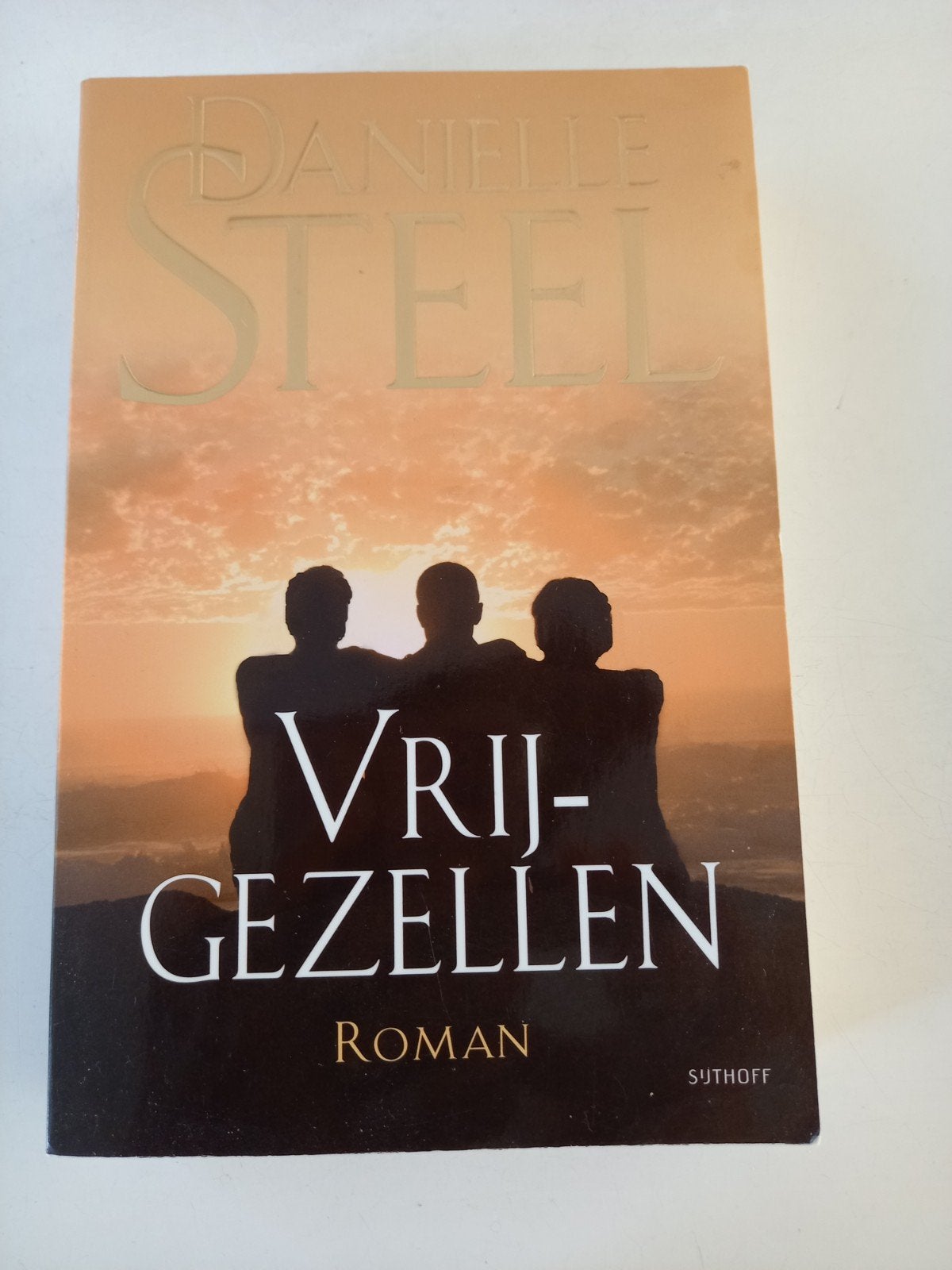 Vrijgezellen - Danielle Steel Roman, Ophalen of Verzenden, Gelezen, Danielle Steel, Nederland