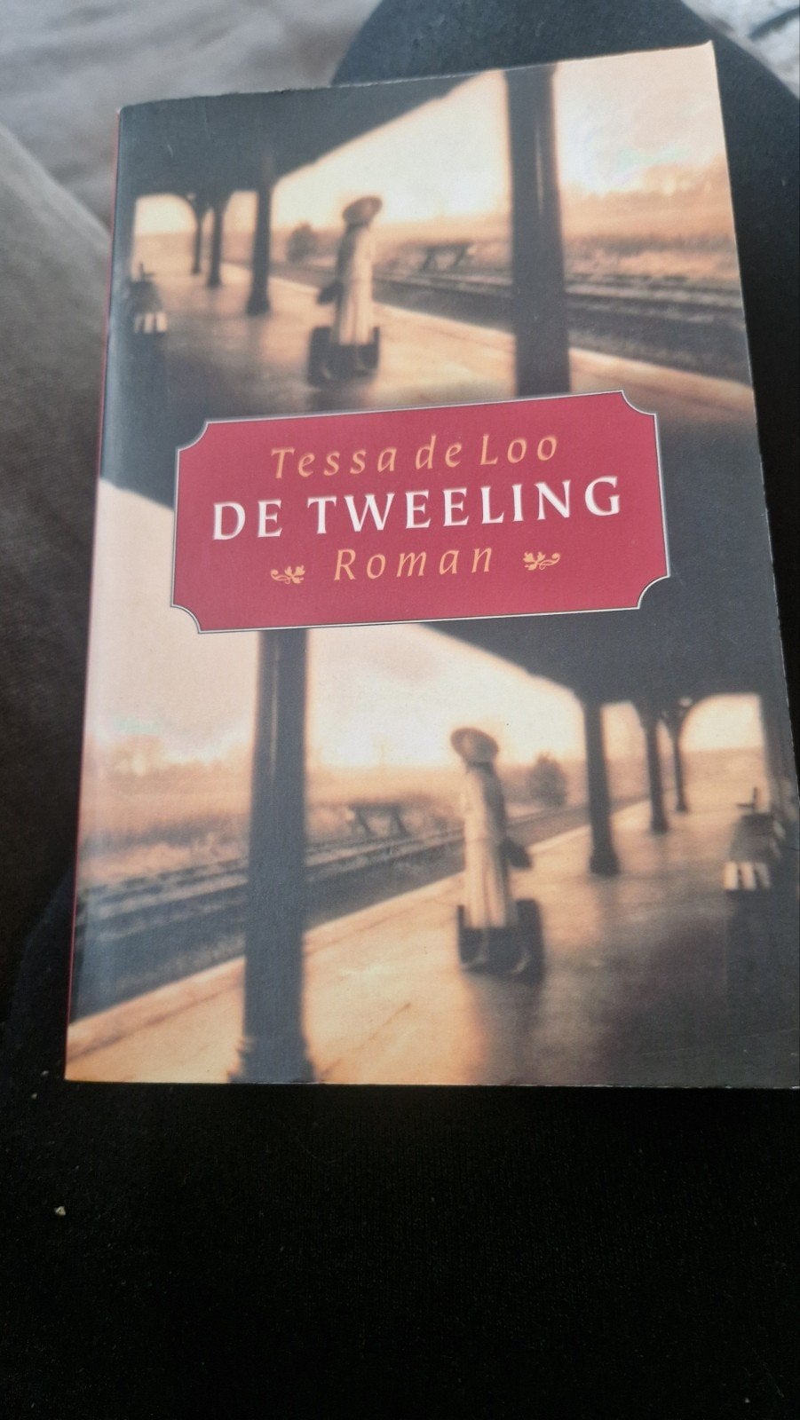De tweeling - Tessa de Loo (paperback), Ophalen, Gelezen, Tessa de Loo
