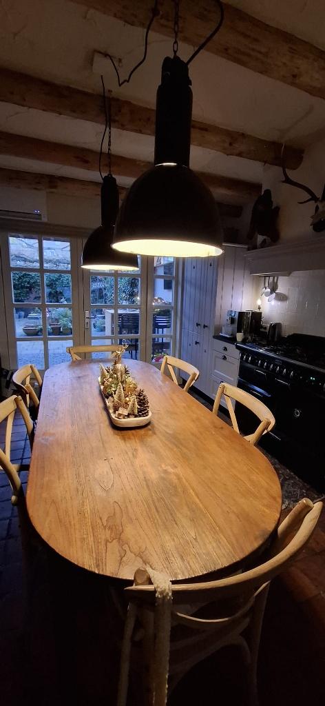 Lampen (industrieel), Ophalen, Gebruikt, 50 tot 75 cm, Metaal