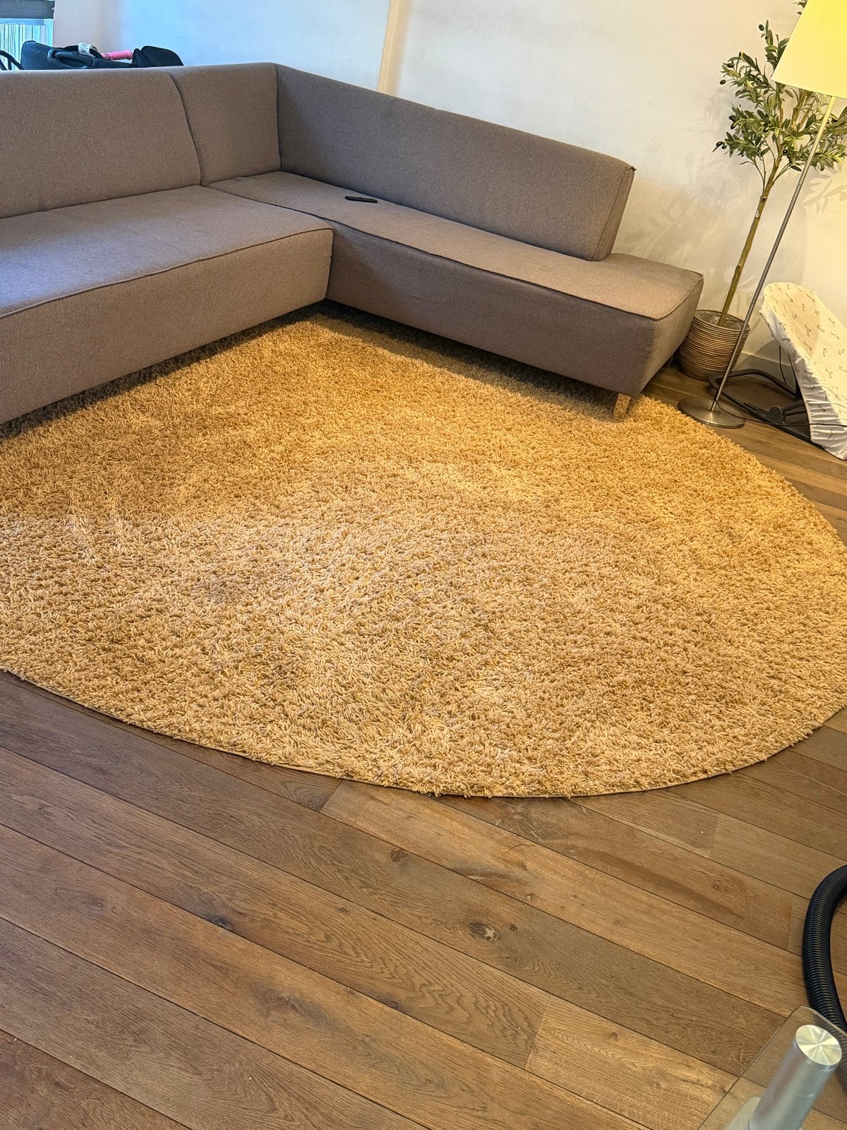 Grote en kleine ronde vloerkleden in zeer goede staat, Ophalen, Gebruikt, Beige, Rond