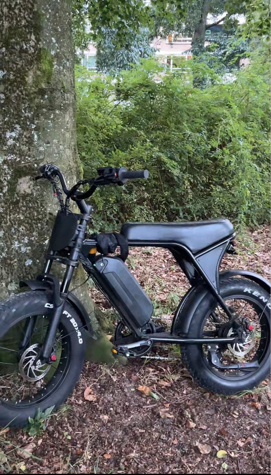 Elektrische fiets - 1KW motor - Te ruil/koop, Ophalen of Verzenden, Gebruikt, Overige merken